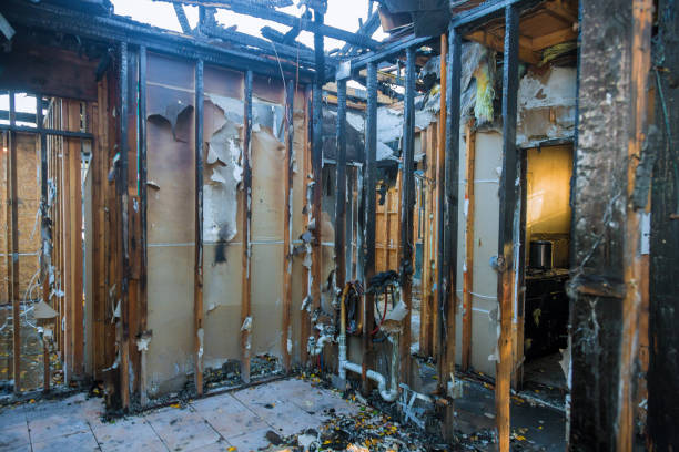Professional Fire Damage Assessment technician working in Warm Springs, CA
